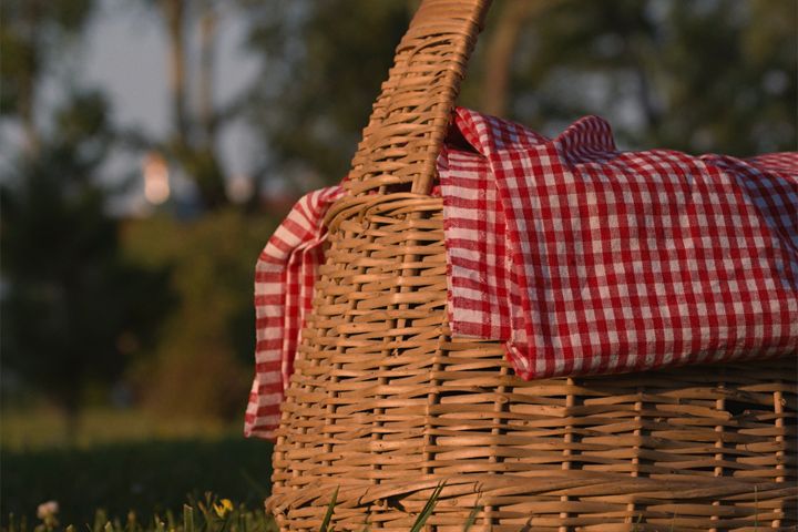 Close-up of a picnic basket with a red checkered cloth on a grassy field.